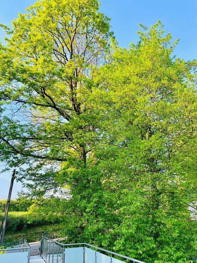 Ferienwohnung Waldblick 카우푼겐 외부 사진